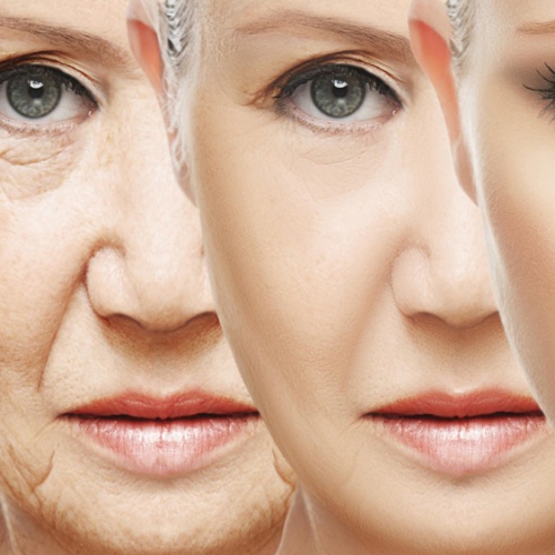 Image for Skin Secrets with ID of: 3406577