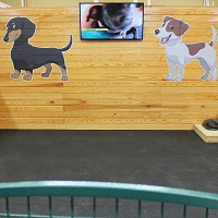 Image for Pawtown Pet Boarding with ID of: 3407835