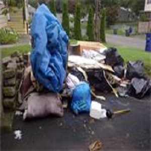 Image for Wee Hawll Junk Removal Services with ID of: 3408171