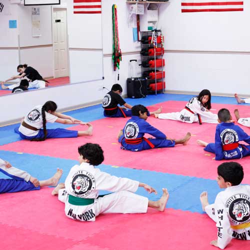 Image for White Tiger Taekwondo with ID of: 3408343