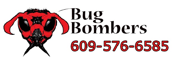 Image for Bug Bombers with ID of: 3409709