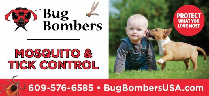 Image for Bug Bombers with ID of: 3409712