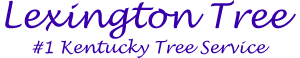 Image for Green Tree Service - Lexington with ID of: 3410756