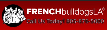 Image for French Bulldogs LA with ID of: 3410922