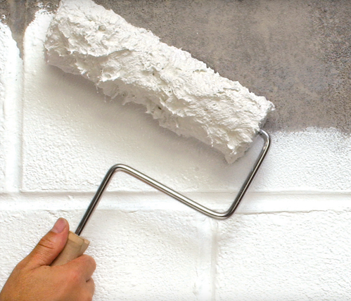 Image for Mold Killing Primer Edmonton with ID of: 3410963