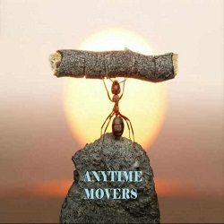 Image for Anytime Movers Singapore with ID of: 3411373