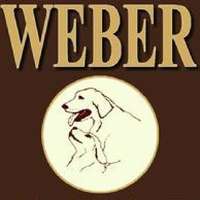 Image for Webers Golden Retrievers with ID of: 3413104