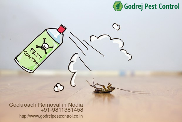 Image for Pest Control Gurgaon with Godrej Pest Control with ID of: 3413140
