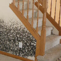 Image for Public Adjusters Atlanta with ID of: 3414032