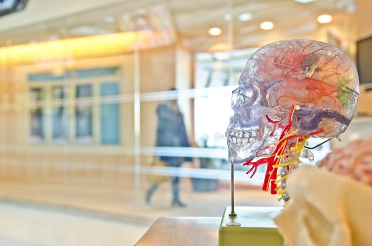 Image for 7 Ways To Keep Your Brain Active As You Get Older with ID of: 3414320