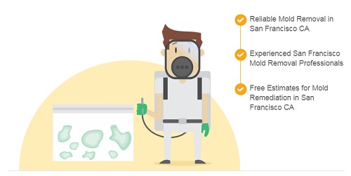 Image for All US Mold Removal San Francisco CA - Mold Remediation Services with ID of: 3416089