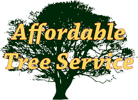 Image for Affordable Tree Services with ID of: 3417488