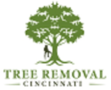 Image for Tree Removal Cincinnati with ID of: 3418190
