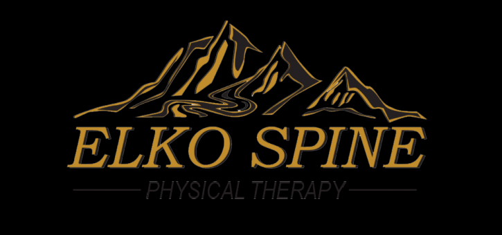 Image for Elko Spine Physical Therapy with ID of: 3420031