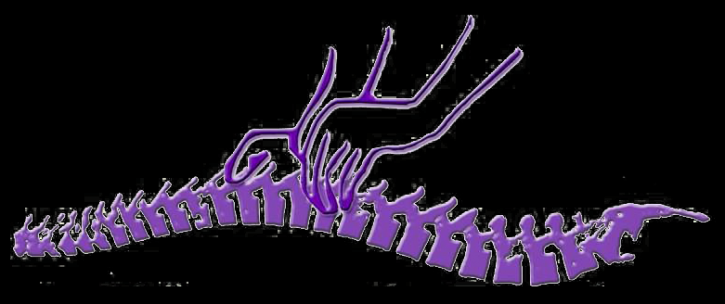 Image for A Chiropractic Touch LLC with ID of: 3420133