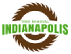 Image for Tree Removal Indianapolis with ID of: 3420543
