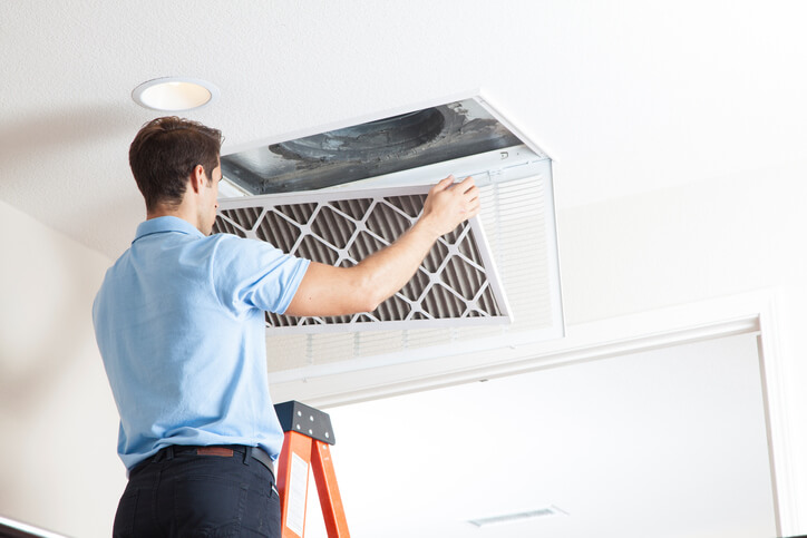 Image for Steve's Carpet Care with ID of: 3422941