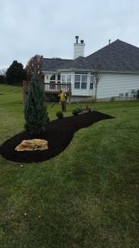 Image for St. Louis Grading & Sod Company with ID of: 3423345