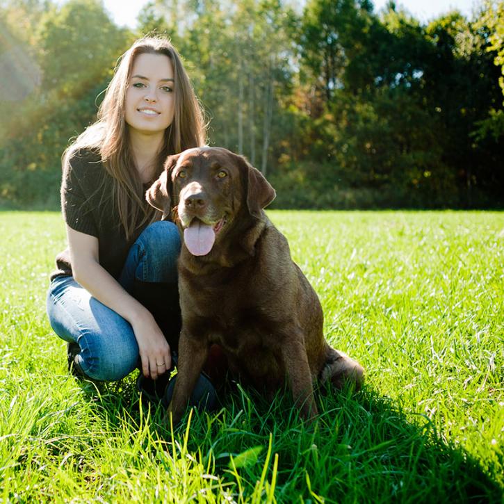 Image for Dog Training Unleashed with ID of: 3423353