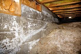 Image for South Bay Water Damage Restoration with ID of: 3423871