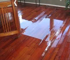 Image for South Bay Water Damage Restoration with ID of: 3423872