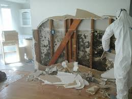 Image for South Bay Water Damage Restoration with ID of: 3423873