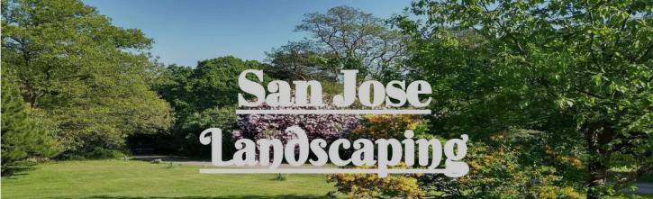 Image for Landscaping San Jose with ID of: 3425551