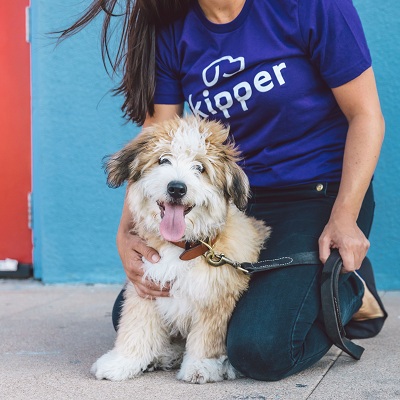 Image for Skipper with ID of: 3425576