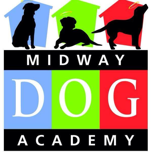 Image for Midway Dog Academy with ID of: 3428775