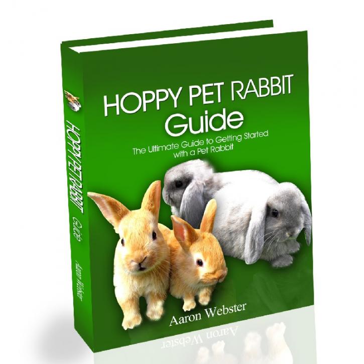 Image for Rabbit Breeders with ID of: 3430280