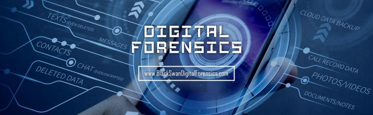 Image for Black Swan Digital & Computer Forensics with ID of: 3431602