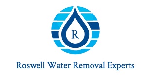 Image for Roswell Water Removal Experts with ID of: 3432983