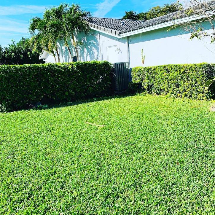 Image for Aviator Lawn Care with ID of: 3433644