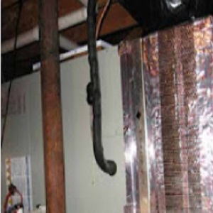 Image for DM Select Services – Leesburg with ID of: 3434396