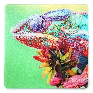 Image for Printed Event Flooring with ID of: 3434482