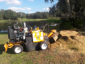Image for Livingston County Tree Pros with ID of: 3434486