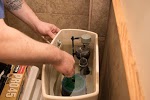 Image for Bulldog Rooter with ID of: 3434524