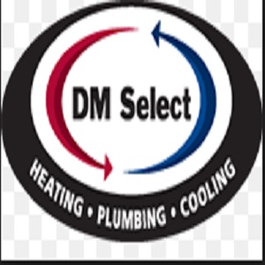 Image for DM Select Services with ID of: 3434598