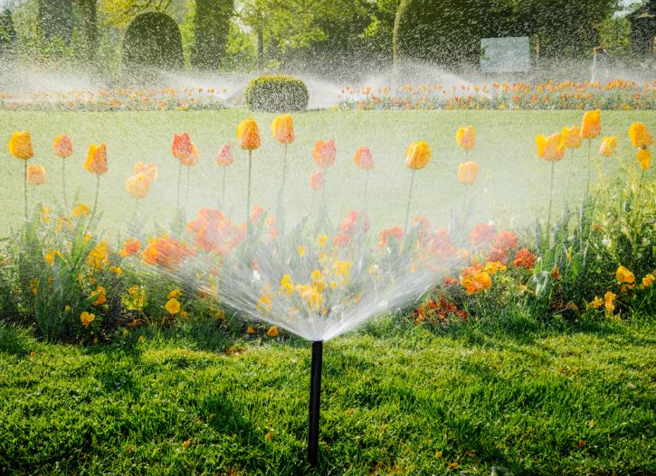 Image for Reliable Irrigation System with ID of: 3434851