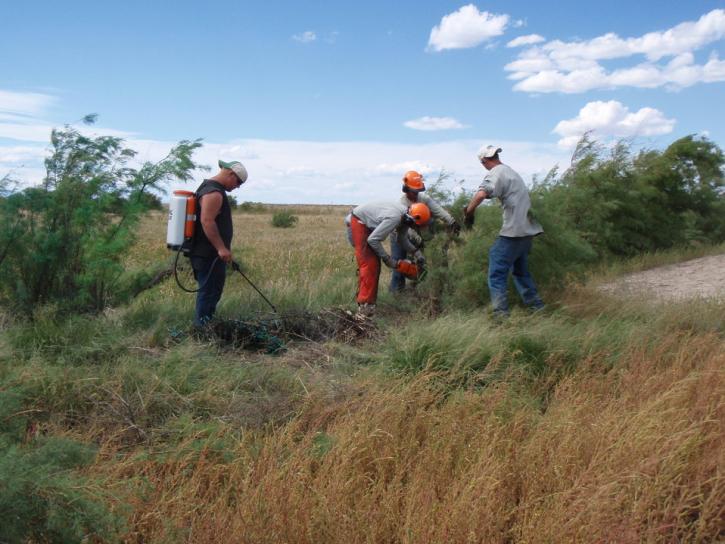 Image for Livingston County Tree Pros with ID of: 3435404