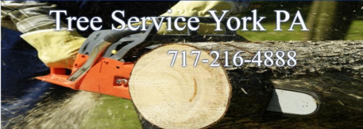 Image for Tree Service York PA with ID of: 3438177