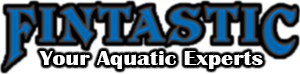 Image for Fintastic with ID of: 3438190