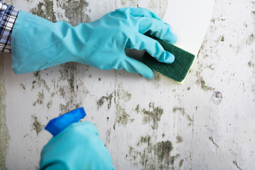 Image for Asset Environmental Services Ogden with ID of: 3438257