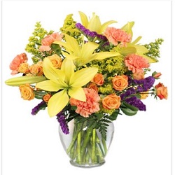 Image for Flower Hut with ID of: 3438421