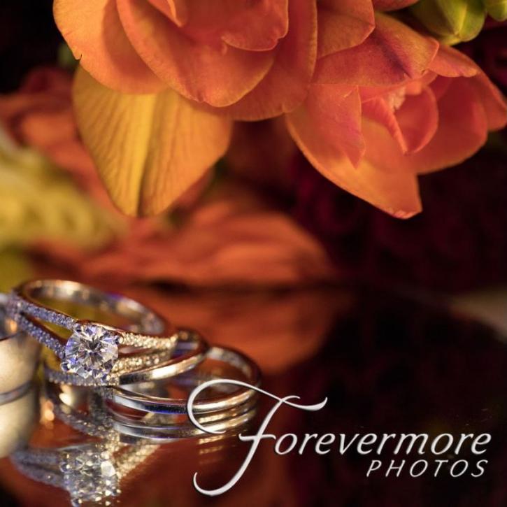 Image for Forevermore Photos with ID of: 3439504