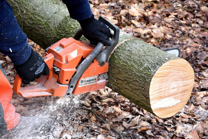 Image for Tree Cutting And Trimming Bronx with ID of: 3439913