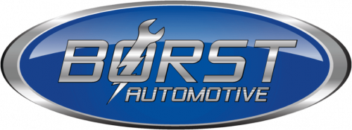 Image for Borst Automotive with ID of: 3440421