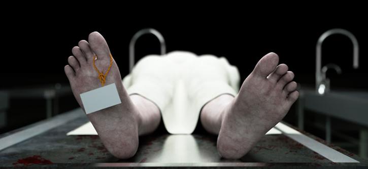 Image for Autopsy Company with ID of: 3441987