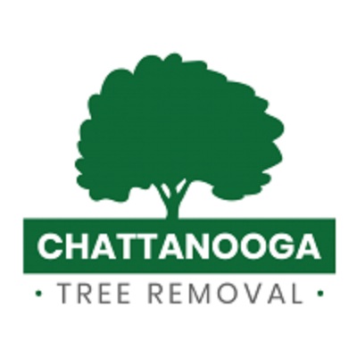 Image for Chattanooga Tree Removal with ID of: 3442113