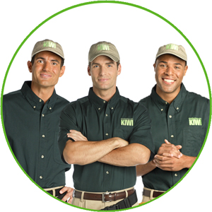 Image for KIWI Services with ID of: 3442216